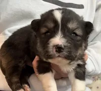 processed/6ca180fc-7f37-4648-817e-e89e0fd8d599/listing/51c3c3f4-4860-473c-811a-0046e20ea14f/98c0438f-c1cd-44e6-85d3-f6ea3f76b5c8