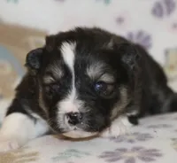 processed/6ca180fc-7f37-4648-817e-e89e0fd8d599/listing/51c3c3f4-4860-473c-811a-0046e20ea14f/f276cf87-3002-46ec-ac32-d1ba2bade020