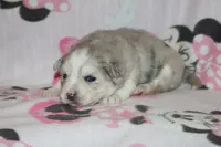 processed/6ca180fc-7f37-4648-817e-e89e0fd8d599/listing/57e597c1-4a03-45bf-b7f4-714dc25aa190/e9c756ae-a6ed-4330-9f01-320cc47e817a