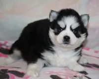 processed/6ca180fc-7f37-4648-817e-e89e0fd8d599/listing/7d9d00e8-71c8-4e1c-928f-3ca6ed603def/3ddb5675-e6c1-4daa-8d54-6199f67f7ccd