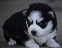 processed/6ca180fc-7f37-4648-817e-e89e0fd8d599/listing/7d9d00e8-71c8-4e1c-928f-3ca6ed603def/4a29d70b-45ee-4e06-9820-22a093cc2769