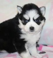 processed/6ca180fc-7f37-4648-817e-e89e0fd8d599/listing/7d9d00e8-71c8-4e1c-928f-3ca6ed603def/5db820af-21dc-44c0-b706-37ab1135c763