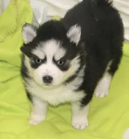 processed/6ca180fc-7f37-4648-817e-e89e0fd8d599/listing/7d9d00e8-71c8-4e1c-928f-3ca6ed603def/8c7afa2a-6eb7-4516-9aa7-3016690923de