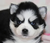 processed/6ca180fc-7f37-4648-817e-e89e0fd8d599/listing/7d9d00e8-71c8-4e1c-928f-3ca6ed603def/b737d6ba-5b27-4f64-9537-da987d06d4ce