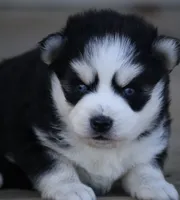 processed/6ca180fc-7f37-4648-817e-e89e0fd8d599/listing/7d9d00e8-71c8-4e1c-928f-3ca6ed603def/e21684cd-19d1-47d4-88a2-492d8ff5ec24