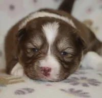 processed/6ca180fc-7f37-4648-817e-e89e0fd8d599/listing/85fcabe2-1714-48c6-b953-cda8bb3d7506/13641a0c-b145-431a-ab3b-046b6fc5a360