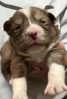 processed/6ca180fc-7f37-4648-817e-e89e0fd8d599/listing/85fcabe2-1714-48c6-b953-cda8bb3d7506/78bd7541-e6f3-46ad-9fa5-65790ca1b626