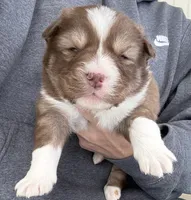 processed/6ca180fc-7f37-4648-817e-e89e0fd8d599/listing/85fcabe2-1714-48c6-b953-cda8bb3d7506/ce64fef7-cf72-4bb0-9f8a-bf95391cc146