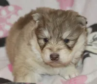 processed/6ca180fc-7f37-4648-817e-e89e0fd8d599/listing/94fbf40e-56a7-4653-b5ca-c61573a6f25f/7479cc47-6629-4200-a9f6-243fdac95375