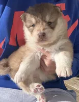 processed/6ca180fc-7f37-4648-817e-e89e0fd8d599/listing/94fbf40e-56a7-4653-b5ca-c61573a6f25f/89c7146e-4a3a-4c57-ac51-c71ad6903fcc