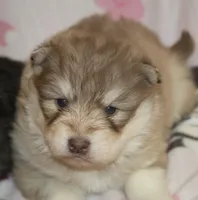 processed/6ca180fc-7f37-4648-817e-e89e0fd8d599/listing/94fbf40e-56a7-4653-b5ca-c61573a6f25f/d87249b1-9a58-41de-a948-0e20dc0773bd