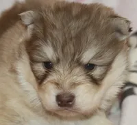 processed/6ca180fc-7f37-4648-817e-e89e0fd8d599/listing/94fbf40e-56a7-4653-b5ca-c61573a6f25f/fc001888-5d7c-4a90-86d4-7cf9fad5b8c5