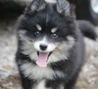 processed/6ca180fc-7f37-4648-817e-e89e0fd8d599/listing/95af7e26-f4f8-4cca-83bf-db40bfc60938/009eba3d-5018-4293-8857-84ab6ce4e455