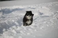 processed/6ca180fc-7f37-4648-817e-e89e0fd8d599/listing/95af7e26-f4f8-4cca-83bf-db40bfc60938/0d95da1f-ec24-409f-9fa5-a9f2fbd58542