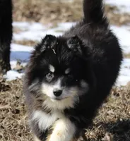 processed/6ca180fc-7f37-4648-817e-e89e0fd8d599/listing/95af7e26-f4f8-4cca-83bf-db40bfc60938/1321136e-8ff5-4392-bf03-cf336b841159