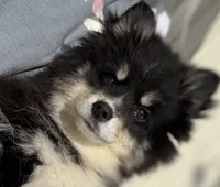 processed/6ca180fc-7f37-4648-817e-e89e0fd8d599/listing/95af7e26-f4f8-4cca-83bf-db40bfc60938/9425fed6-1669-4da3-8f23-c89f6b0272ac