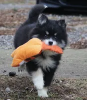 processed/6ca180fc-7f37-4648-817e-e89e0fd8d599/listing/95af7e26-f4f8-4cca-83bf-db40bfc60938/a34d36df-0cdd-45e4-9b35-00f9a8cc4512