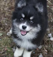 processed/6ca180fc-7f37-4648-817e-e89e0fd8d599/listing/95af7e26-f4f8-4cca-83bf-db40bfc60938/d12aaf88-6c03-4f95-bc40-14e6c7face26