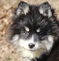 processed/6ca180fc-7f37-4648-817e-e89e0fd8d599/listing/95af7e26-f4f8-4cca-83bf-db40bfc60938/dd5d3f11-1cb3-4aab-a52f-b75276b34a85