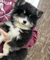 processed/6ca180fc-7f37-4648-817e-e89e0fd8d599/listing/95af7e26-f4f8-4cca-83bf-db40bfc60938/e133f479-c267-4195-9b60-7925f4b49955