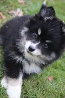 processed/6ca180fc-7f37-4648-817e-e89e0fd8d599/listing/95af7e26-f4f8-4cca-83bf-db40bfc60938/fc3b763a-c1d3-4033-b324-b4d39185714b