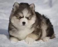 processed/6ca180fc-7f37-4648-817e-e89e0fd8d599/listing/9e406b14-e30a-4a56-8836-3b293645df58/46125bc6-1732-4ed9-81c1-2525e9151033