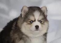 processed/6ca180fc-7f37-4648-817e-e89e0fd8d599/listing/9e406b14-e30a-4a56-8836-3b293645df58/72d0bda5-5479-42d8-9df7-58eebb3b821f