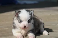 processed/6ca180fc-7f37-4648-817e-e89e0fd8d599/listing/aee809fe-77ac-4496-9870-e7b6a53f7bf5/ce225a06-b253-4f31-a38d-0640d4850714