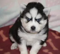 processed/6ca180fc-7f37-4648-817e-e89e0fd8d599/listing/ba11496c-9efb-41b2-adb3-954236d79a29/615b6394-ba40-4109-acd7-faf4f9df1ecf