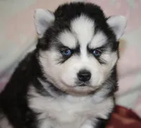 processed/6ca180fc-7f37-4648-817e-e89e0fd8d599/listing/ba11496c-9efb-41b2-adb3-954236d79a29/e2817a87-62c8-4084-bf48-56d2c62a0d9a