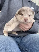 processed/6ca180fc-7f37-4648-817e-e89e0fd8d599/listing/bd3a8abb-f8ec-4773-b45f-32447d73ddce/003124f5-c480-4370-8e45-fc72c74ee7df