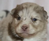 processed/6ca180fc-7f37-4648-817e-e89e0fd8d599/listing/bd3a8abb-f8ec-4773-b45f-32447d73ddce/a896ab2c-5c4f-45e9-832b-33c88c15da8c