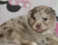 processed/6ca180fc-7f37-4648-817e-e89e0fd8d599/listing/bd3a8abb-f8ec-4773-b45f-32447d73ddce/ee5727d7-8ac3-42fa-952b-e009b1943c80