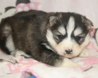 processed/6ca180fc-7f37-4648-817e-e89e0fd8d599/listing/c725da58-6512-4c6a-8f95-55f65f63efef/b5774fa4-6dc2-4bea-aa5f-75477924b41f