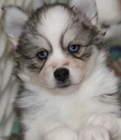 processed/6ca180fc-7f37-4648-817e-e89e0fd8d599/listing/d0855ffb-f3f6-4c26-ada0-211cca8ab6fb/33528acc-d7e1-4c5e-b22a-87022bde1a3b