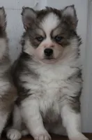 processed/6ca180fc-7f37-4648-817e-e89e0fd8d599/listing/d0855ffb-f3f6-4c26-ada0-211cca8ab6fb/38fcc23d-f36a-4936-9341-4972f15ad864