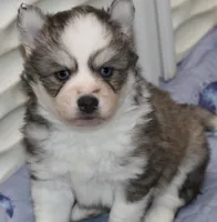 processed/6ca180fc-7f37-4648-817e-e89e0fd8d599/listing/d0855ffb-f3f6-4c26-ada0-211cca8ab6fb/58dd578c-9409-4552-a6ee-8fe70b74c520