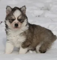 processed/6ca180fc-7f37-4648-817e-e89e0fd8d599/listing/d0855ffb-f3f6-4c26-ada0-211cca8ab6fb/9f19c8e4-7091-454d-95a1-0d8c39db0cdc