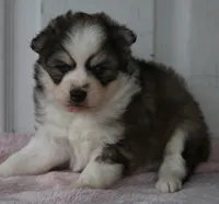 processed/6ca180fc-7f37-4648-817e-e89e0fd8d599/listing/d0855ffb-f3f6-4c26-ada0-211cca8ab6fb/9f53015c-37d0-4b32-9da7-5431d419d42f