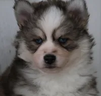 processed/6ca180fc-7f37-4648-817e-e89e0fd8d599/listing/d0855ffb-f3f6-4c26-ada0-211cca8ab6fb/a361ed91-9ac7-4b4b-9ecc-aa60236007dd