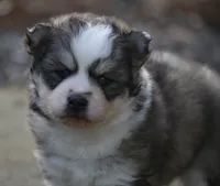 processed/6ca180fc-7f37-4648-817e-e89e0fd8d599/listing/d0855ffb-f3f6-4c26-ada0-211cca8ab6fb/c00c73ff-9c0b-4d19-978e-c92253ccca84