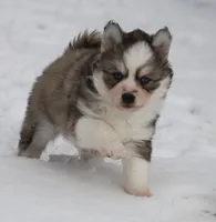 processed/6ca180fc-7f37-4648-817e-e89e0fd8d599/listing/d0855ffb-f3f6-4c26-ada0-211cca8ab6fb/c7650f53-075a-427d-8e81-ec5e53d4708b