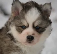 processed/6ca180fc-7f37-4648-817e-e89e0fd8d599/listing/d0855ffb-f3f6-4c26-ada0-211cca8ab6fb/ce0e59bc-ec50-4137-92a2-5f8d2cab990c