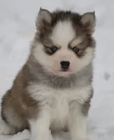 processed/6ca180fc-7f37-4648-817e-e89e0fd8d599/listing/d2f2d2fd-8d1d-41f5-945a-db0ad251c6cc/04ddc326-4001-491a-af89-90cfc10baa3b