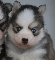 processed/6ca180fc-7f37-4648-817e-e89e0fd8d599/listing/d2f2d2fd-8d1d-41f5-945a-db0ad251c6cc/09b8e29f-7e3a-4e94-b604-5f999015dfb6