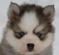 processed/6ca180fc-7f37-4648-817e-e89e0fd8d599/listing/d2f2d2fd-8d1d-41f5-945a-db0ad251c6cc/20f7c96e-337c-469f-a39e-ac2a33ee5f24