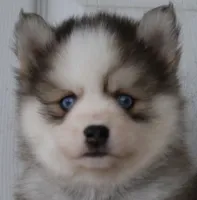 processed/6ca180fc-7f37-4648-817e-e89e0fd8d599/listing/d2f2d2fd-8d1d-41f5-945a-db0ad251c6cc/228a3dac-dae9-4440-9a74-70c36d3ed18c