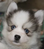 processed/6ca180fc-7f37-4648-817e-e89e0fd8d599/listing/d2f2d2fd-8d1d-41f5-945a-db0ad251c6cc/bad7b538-4de5-4918-ba22-cf3cdd8f9787