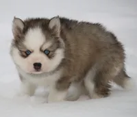 processed/6ca180fc-7f37-4648-817e-e89e0fd8d599/listing/d2f2d2fd-8d1d-41f5-945a-db0ad251c6cc/f3c851b3-7e96-4a85-838d-a6b428035706