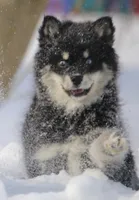 processed/6ca180fc-7f37-4648-817e-e89e0fd8d599/listing/e55ec571-4484-45ce-9827-43e1a6b1792f/15747711-9be9-4d51-8993-16ec21956e3c